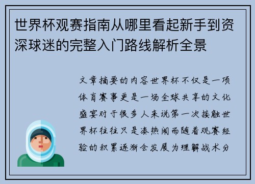 世界杯观赛指南从哪里看起新手到资深球迷的完整入门路线解析全景